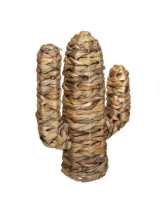 Cactus Modelo Pequeño Haci