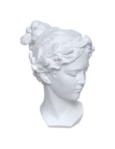 Cabeza de Venus H 26