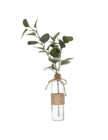 Florero con eucalipto