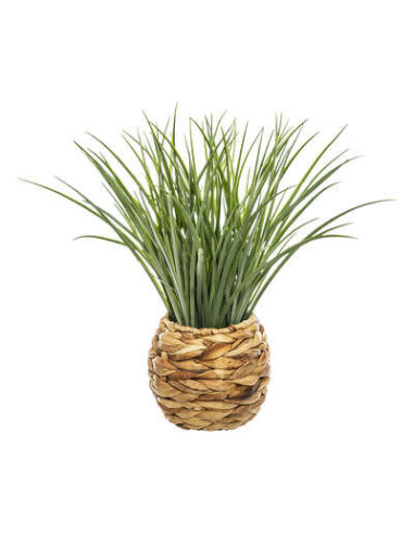 Hierba de maceta trenzada