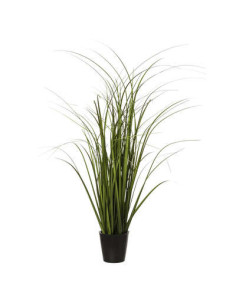 Manojo de hierba en maceta... 2