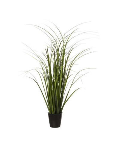 Manojo de hierba en maceta de...