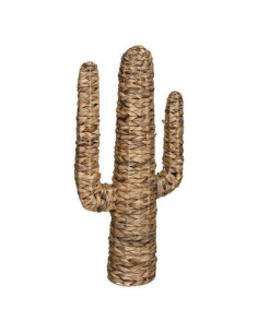 Cactus modelo grande Haci 2