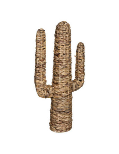 Cactus modelo grande Haci