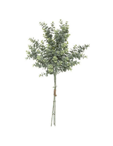 Ramo de eucalipto H 64