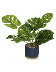 Planta de cerámica de... 2